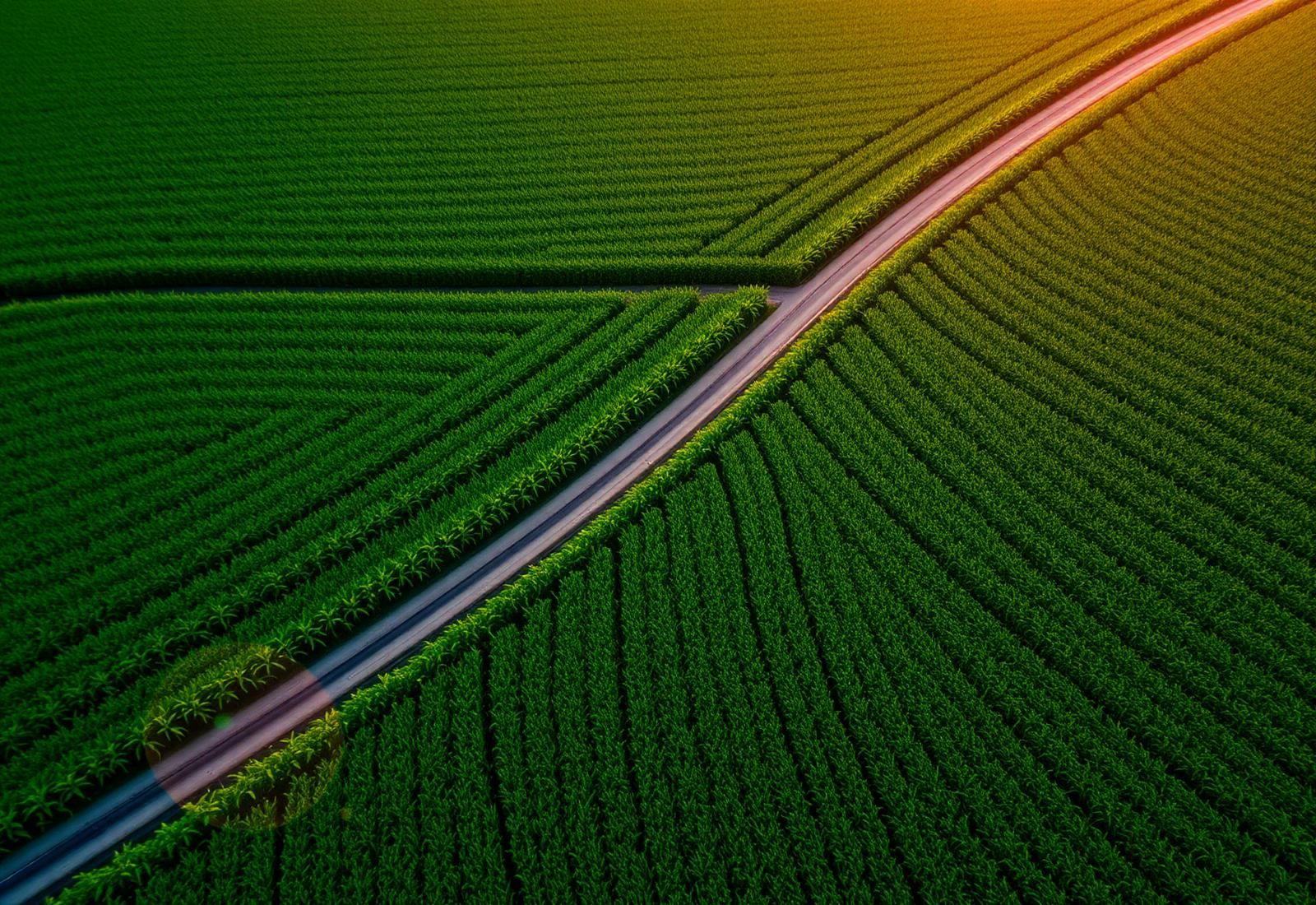 F&G Trading Group - agricultural fields